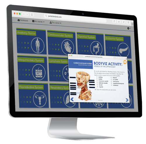 3D-anatomy-online-portal