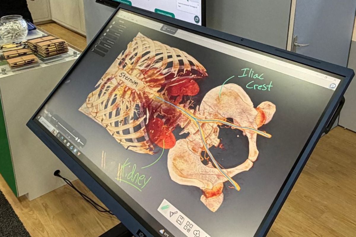 Anatomy Table for Undergraduate and Graduate