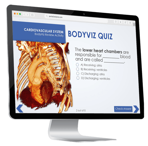 Interactive-3d-anatomy-content-modules