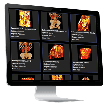 MyBodyViz-Library-3d-anatomy-scans MyBodyViz-Library-3d-anatomy-scans