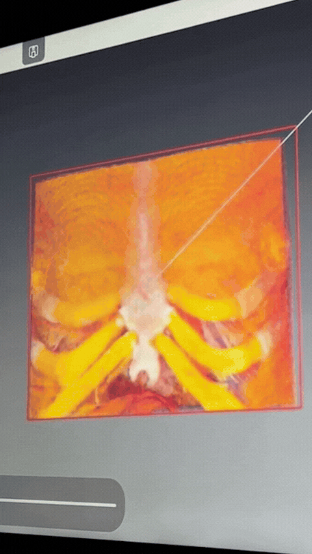 BodyViz 3D Anatomy Table