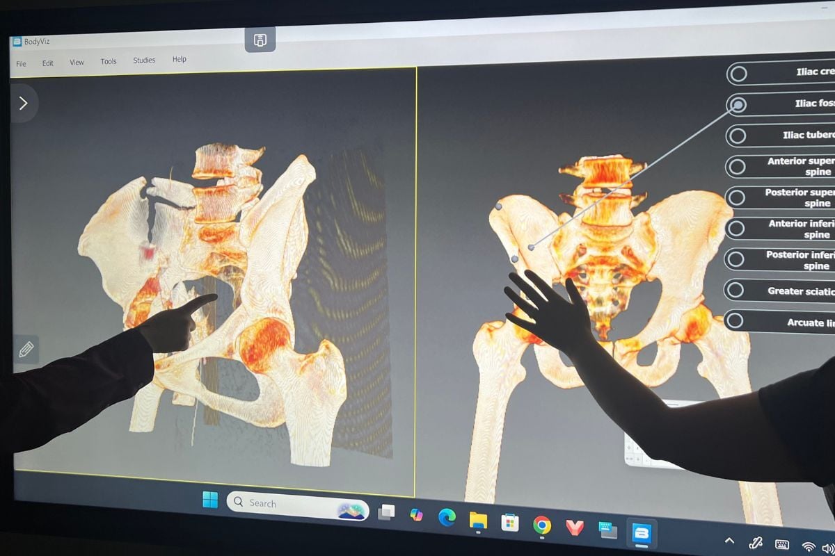 Undergraduate and Post Graduate Anatomy Dissection