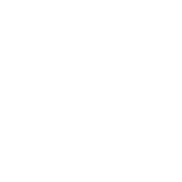 Upload Your Own Data Icon (1)