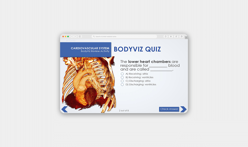 High School 3D Anatomy Review