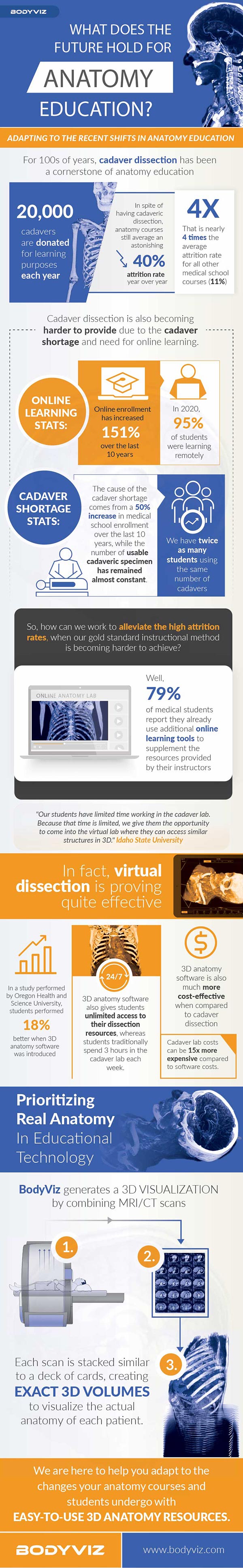 Infographic for Online Anatomy Education