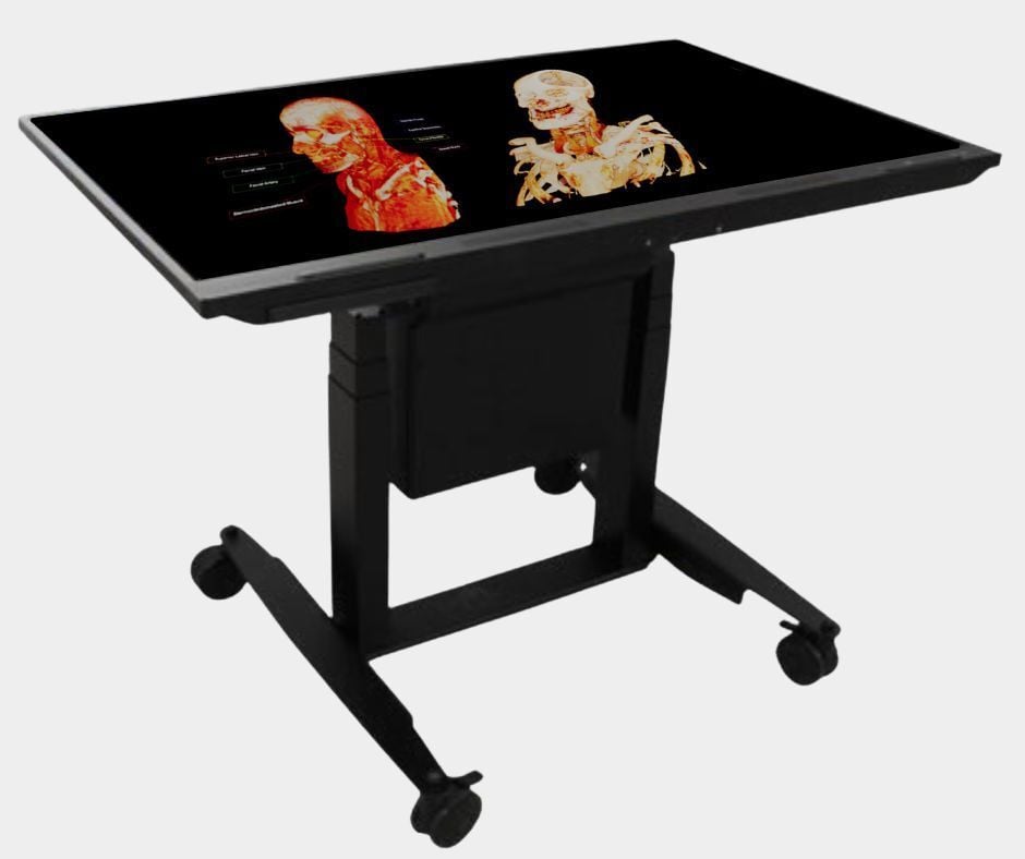 BodyViz Anatomy Table